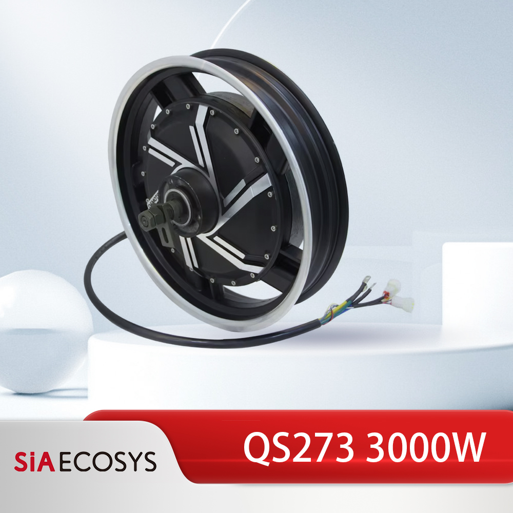 17 Inch Motorcycle Rim Hub Motor 72V - QSMOTOR QS273 17인치 3000W V3 72V