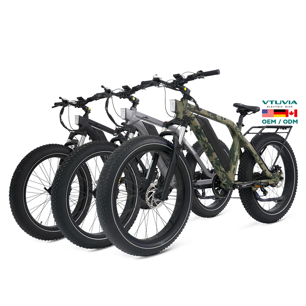 *성인용 전기 자전거 1500W 리어 허브 모터, 48 - 48V 1500W Rear Hub Motor With Battery 리뷰 및 가격
