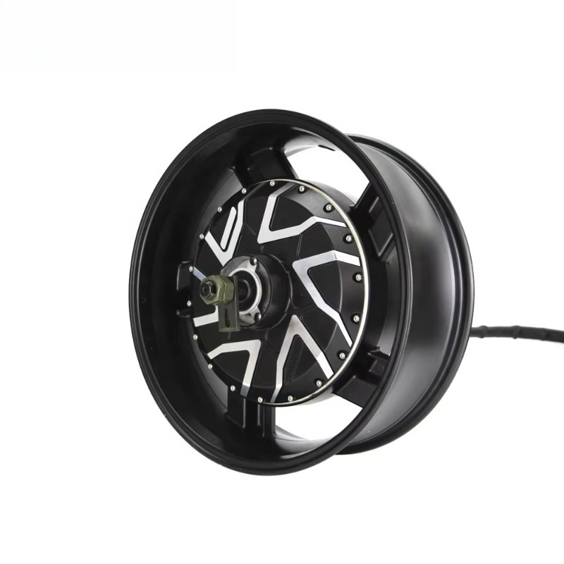 가장 강력한 12000W 더블 액슬 QS 모터 17 X - 12000W Electric Motorcycle Hub Motor 리뷰 및 가격