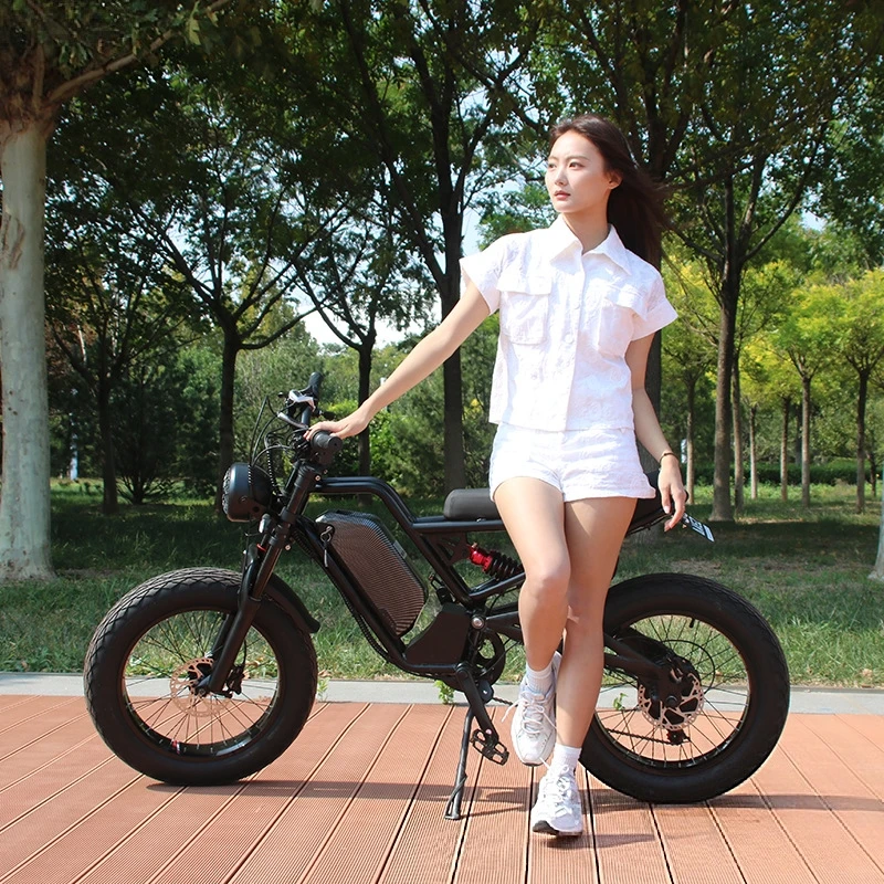 SXLL SXLL13Ah 리튬 배터리 48V 750W/ - 48V 1500W Rear Hub Motor With Battery 리뷰 및 가격