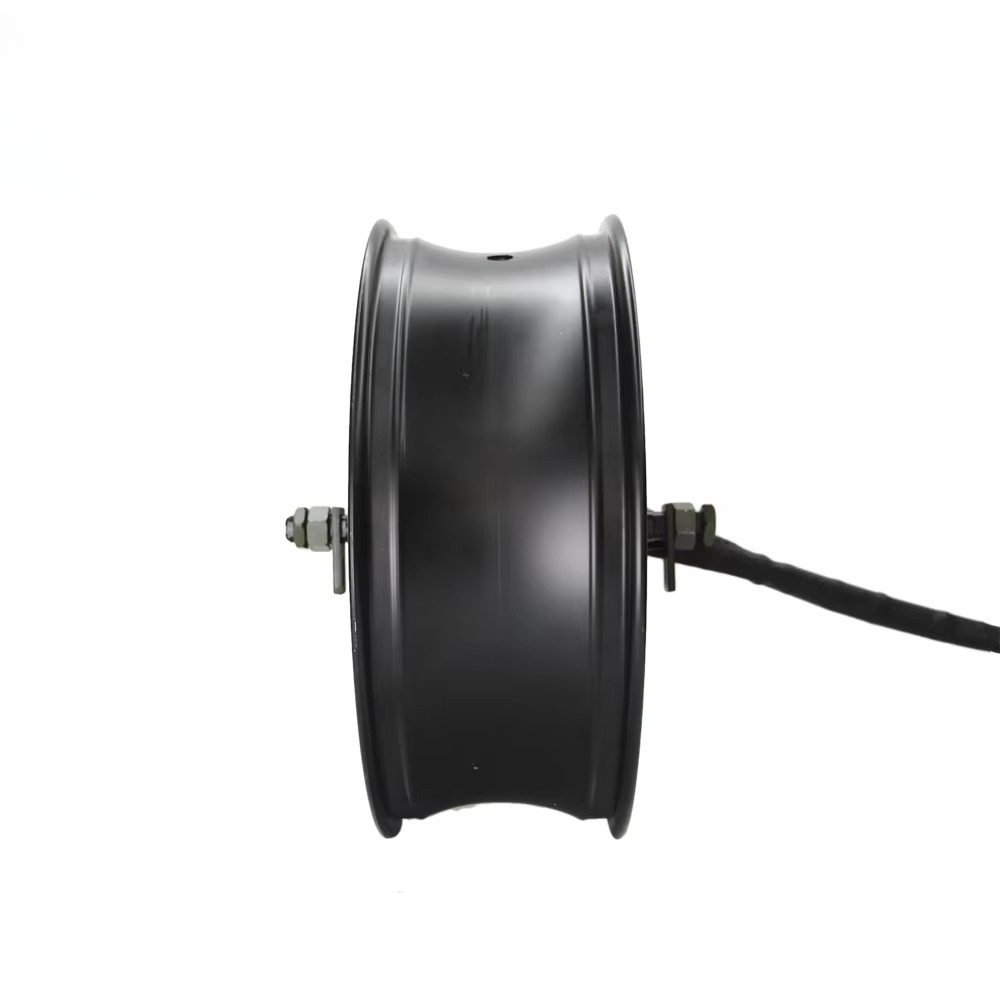 QSMOTOR 17X6.0인치 273 12000W V4 - 12000W Electric Motorcycle Hub Motor 리뷰 및 가격